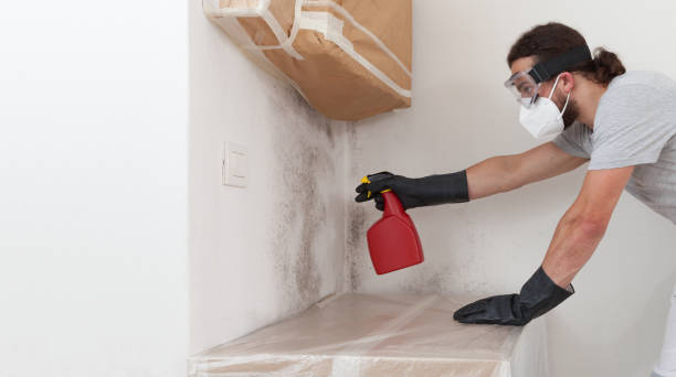 Professional Attic Mold Removal technician working in Franklin, NC