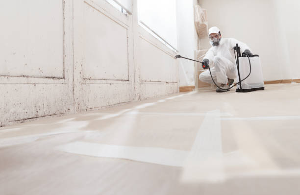 24/7 Emergency Attic Mold Removal experts in Franklin, NC